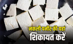 nakli paneer
