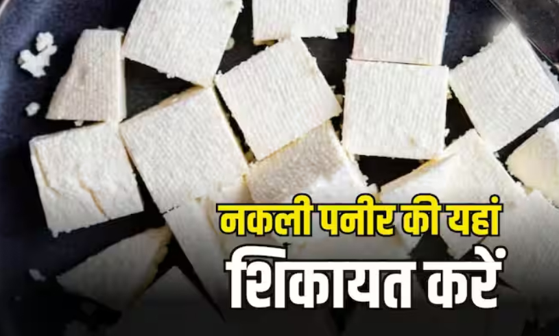 nakli paneer