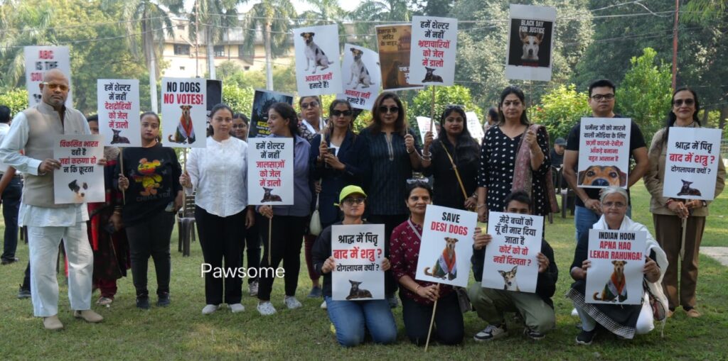 Lucknow Unites for Animal Rights