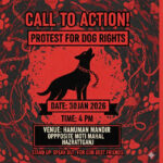 Community Dogs 30126